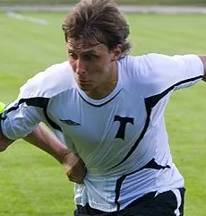 Воскобойников, Владимир Павлович